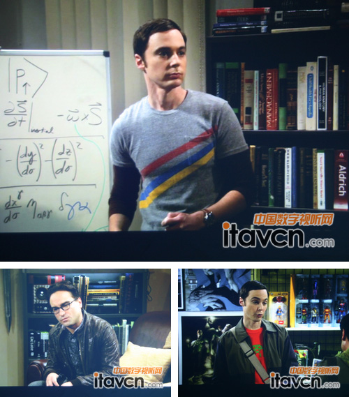 ſѧլ——Sheldon“л”Leonard