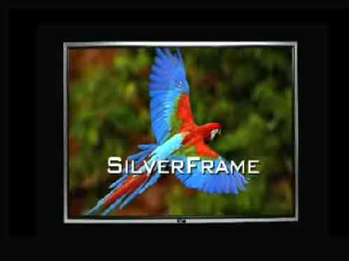 Silver Frame ϵ