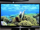 JVC׿3DҺGD-463D10BIRTV2010