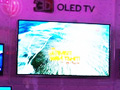 CES 2011LGչʾߴOLED