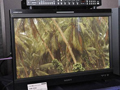 SonyȫOLEDE250E170