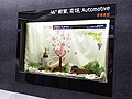 ͸ҺFPD China 2011
