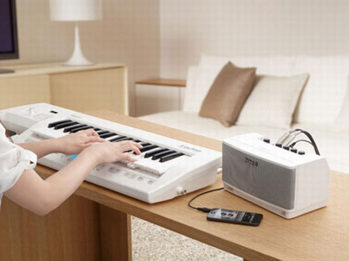 RolandCUBE Lite MONITOR