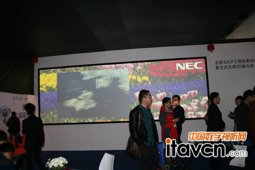 NECȫںͶӰӦ