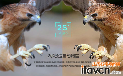 2뼫Զ